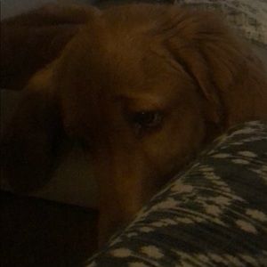 Meet your Posher, Charity